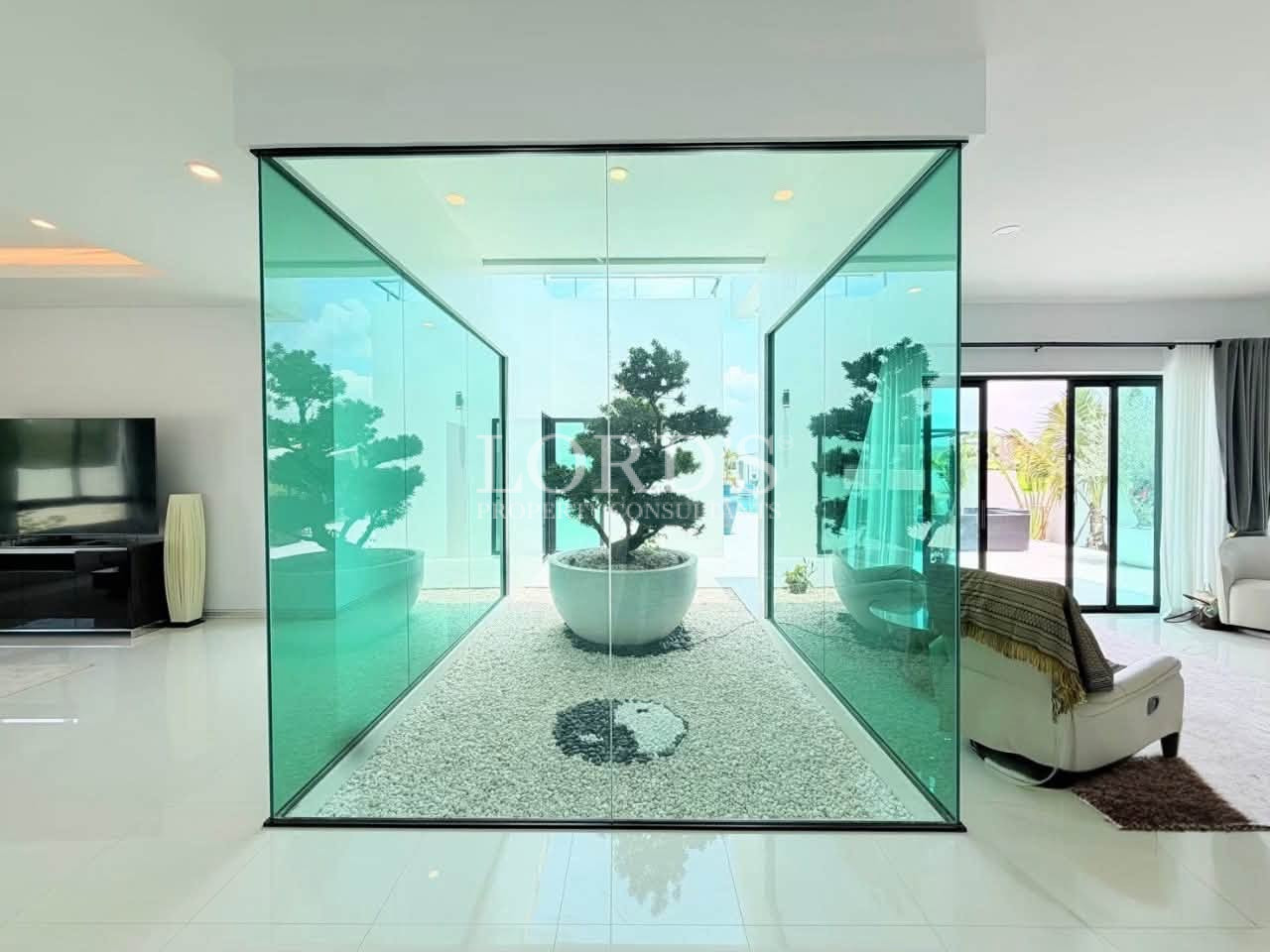 Modern living room with a glass-enclosed indoor garden and decorative bonsai tree