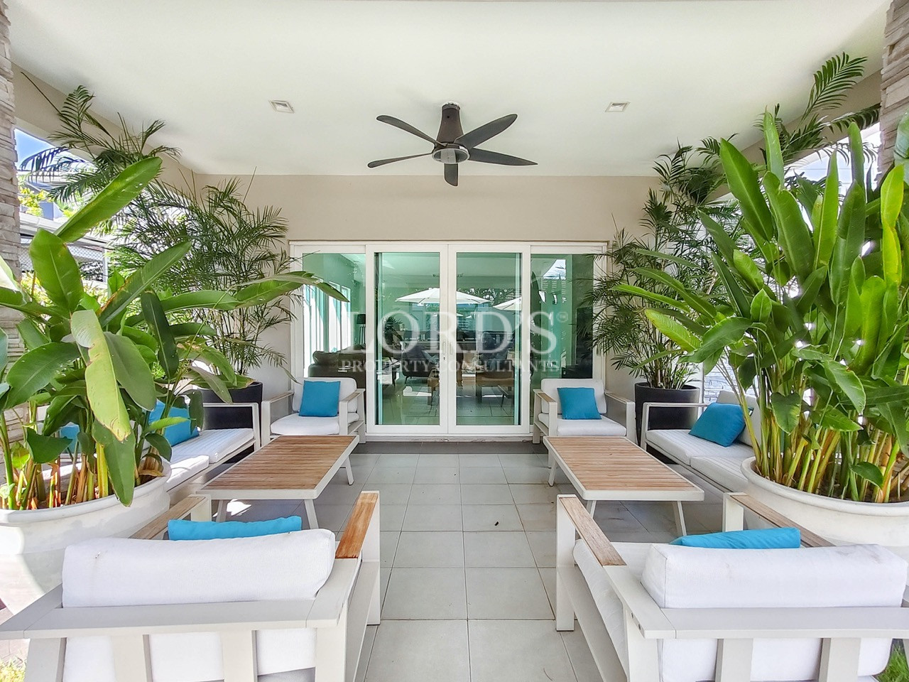 Bright modern living room with ceiling fan and large windows