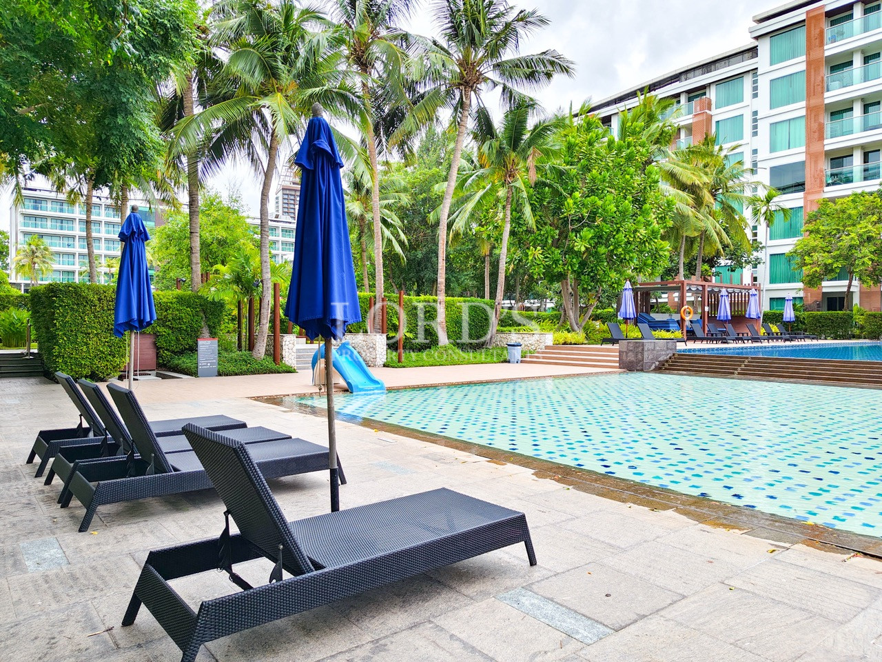 Tropical resort pool with sun loungers and palm trees