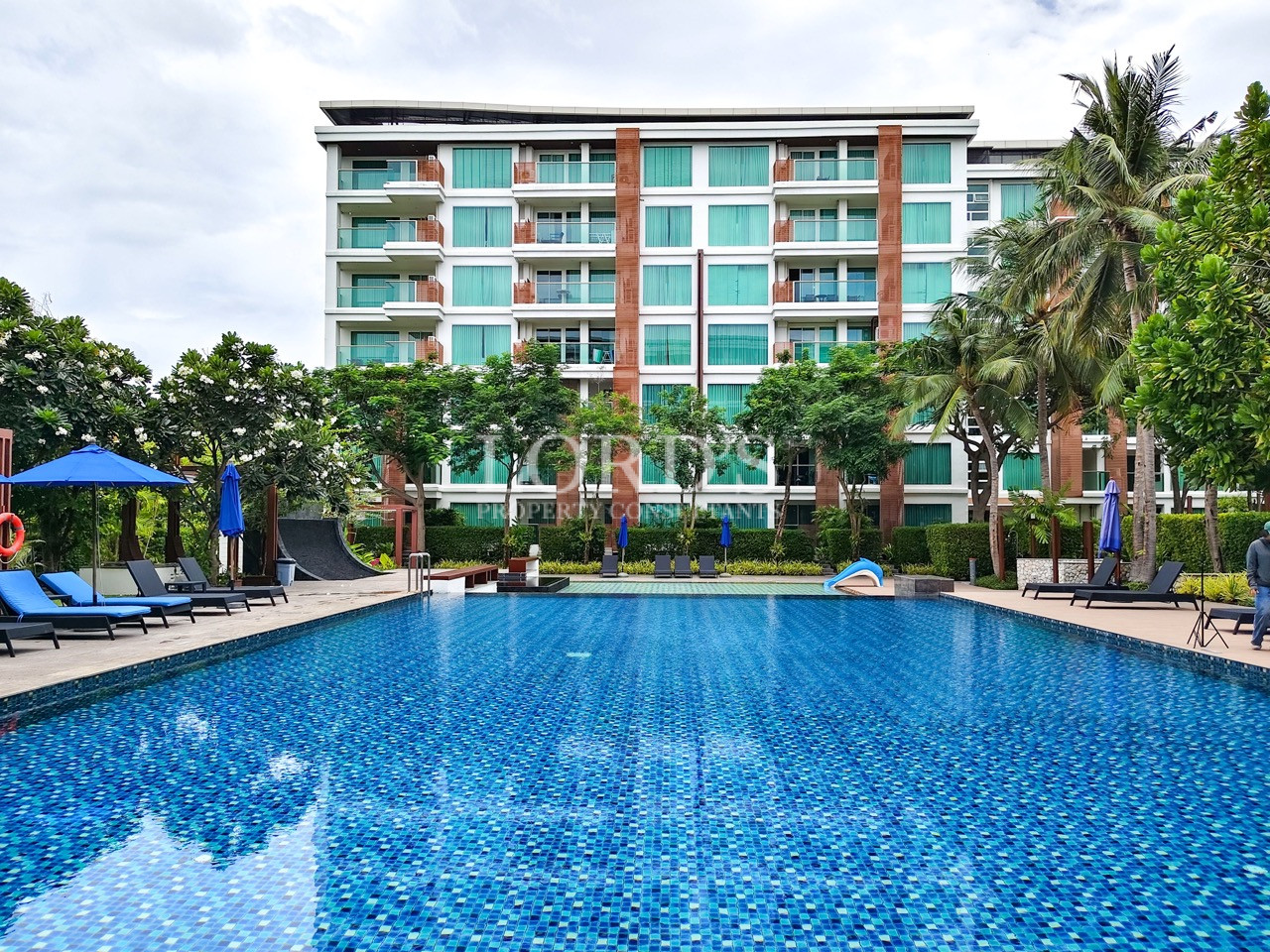 Luxury resort swimming pool with modern hotel and tropical landscaping